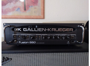 Gallien Krueger Fusion 550 (43993)