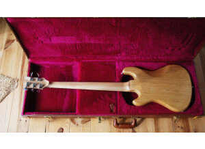 Gibson EB Bass 5 String 2014 (38543)