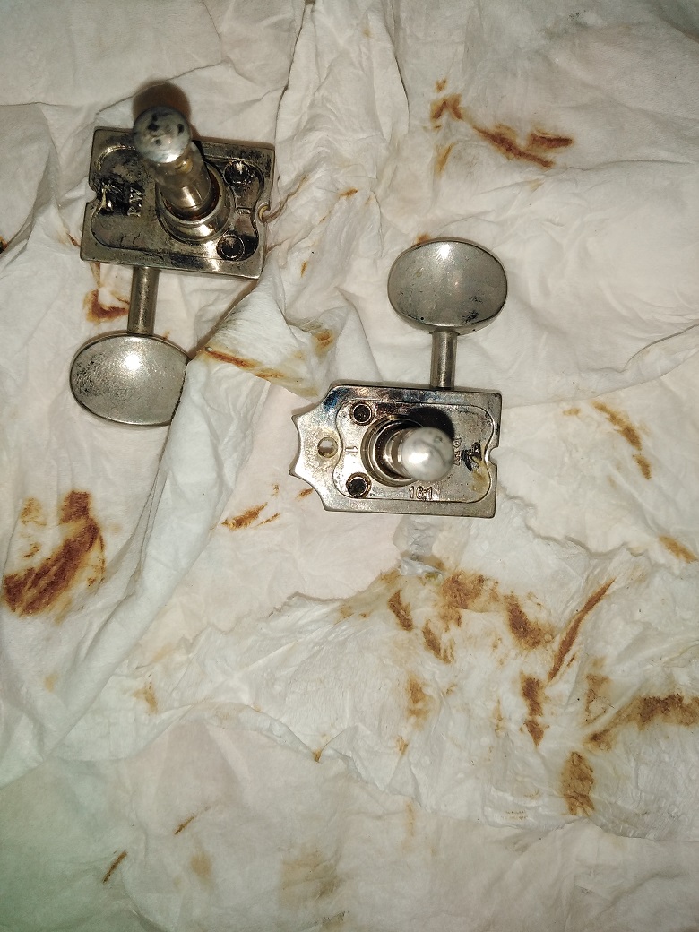 Fano Guitars Standard JM6