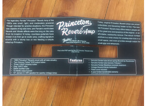 Fender '65 Princeton Reverb [2008-Current] (83655)