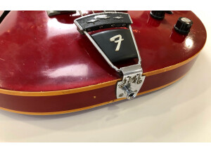 Fender Coronado Bass [1967-1972] (18977)