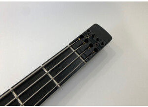 Steinberger XS-1FPA (12058)
