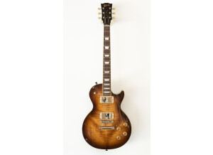 Gibson Les Paul Standard 2007 (43423)