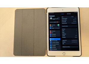 Apple iPad Mini 4 (61470)