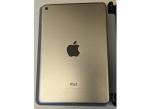 Apple iPad Mini 4 (58740)