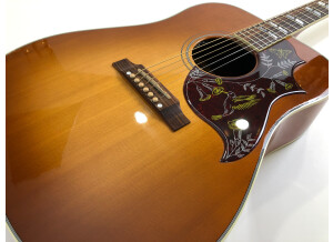 Gibson Hummingbird (30384)