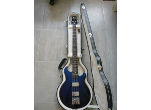Gibson [Bass Series] Les Paul Money Bass