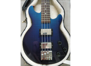 Gibson [Bass Series] Les Paul Money Bass