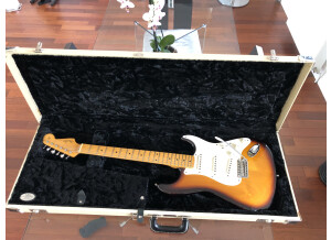 Fender Eric Johnson Stratocaster Maple (46892)