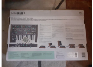 246522321_551106452852045_7727623847745359855_n