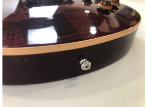 Gibson Les Paul Standard Plus (40679)
