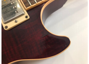 Gibson Les Paul Standard Plus (75669)