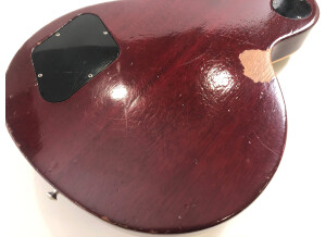Gibson Les Paul Standard Plus (93450)