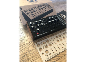 Moog Music DFAM (Drummer From Another Mother) (39585)