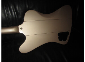 Epiphone Joe Bonamassa "Treasure" Firebird-I Outfit (73233)