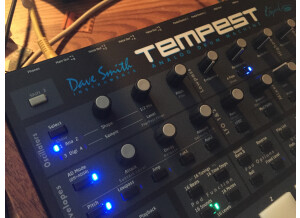 Dave Smith Instruments Tempest (80336)