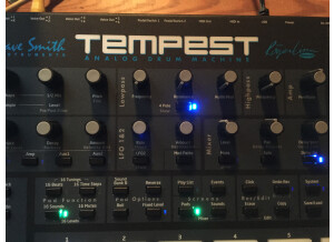 Dave Smith Instruments Tempest (72445)