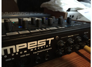 Dave Smith Instruments Tempest (63374)