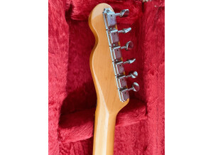 Fender TL62 (99679)