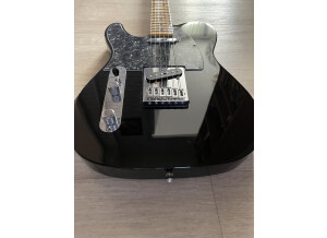 Fender Standard Telecaster LH [2009-2018] (38394)