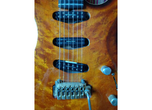 Godin Artisan ST Signature (32414)