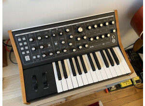 Moog Music Subsequent 25 (69919)