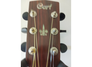 Cort Earth100 (44597)