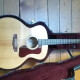 F-50 Standard F-50 Standard