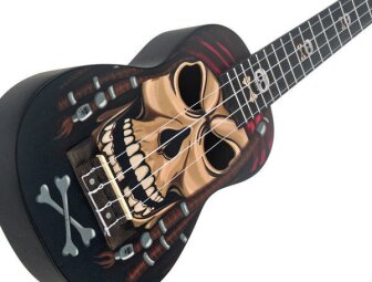 PirateSkull2 PirateSkull2