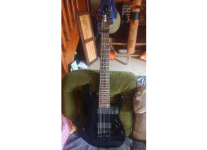 Ibanez RG2228 (39992)
