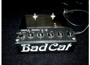 Bad Cat X-Treme Tone (24690)