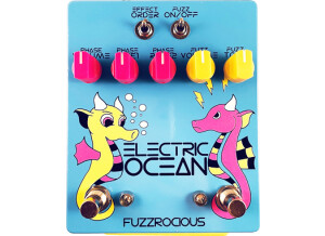 Fuzzrocious Electric Ocean