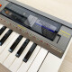 Casiotone MT-800 Casiotone MT-800