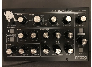 Moog Music Minitaur (62844)