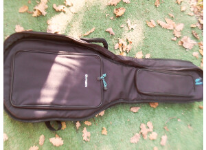 Squier Paranormal Cyclone (93040)