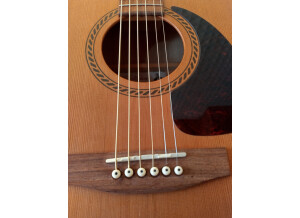 IMG_20211027_154920_HDR