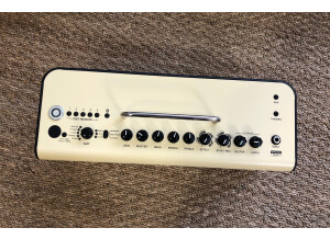 Yamaha THR30II Wireless (27173)