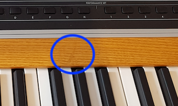 Moog Music Moog One 16