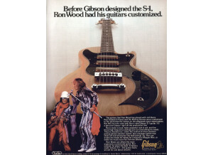 Gibson S-1 (83044)