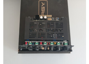 Synergy Amps Fryette Delivrance Module (31510)
