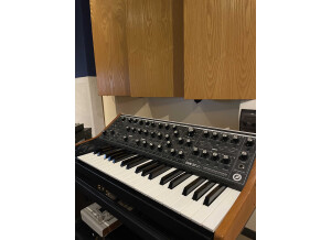 Moog Music SUB 37 (3874)