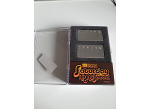 Hagstrom Viking (75078)