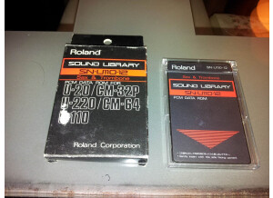 Roland SN-U110-12 : SAX & TROMBONE