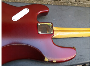 Fender Special Edition Precision Bass (1980) (2173)