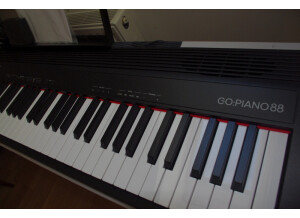 Roland Go:Piano 88