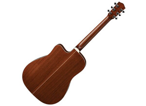 Eastman AC120CE (64041)