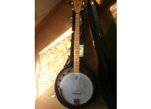 Deering Crossfire 5-String Electric Banjo