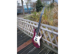 Tom Anderson Drop Top Classic (99857)