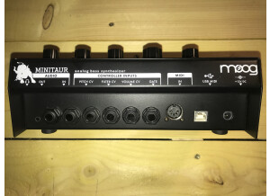 Moog Music Minitaur (60275)