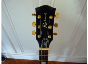Richwood Guitars RE-125 (19688)